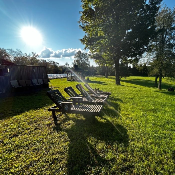 Lounge chairs casting long shadows on the lawn at Namaste Catskills in the evening sun