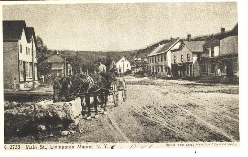A historic photograph of Livingston Manor's Main Street with a horse drawn buggy, New York, around 1900