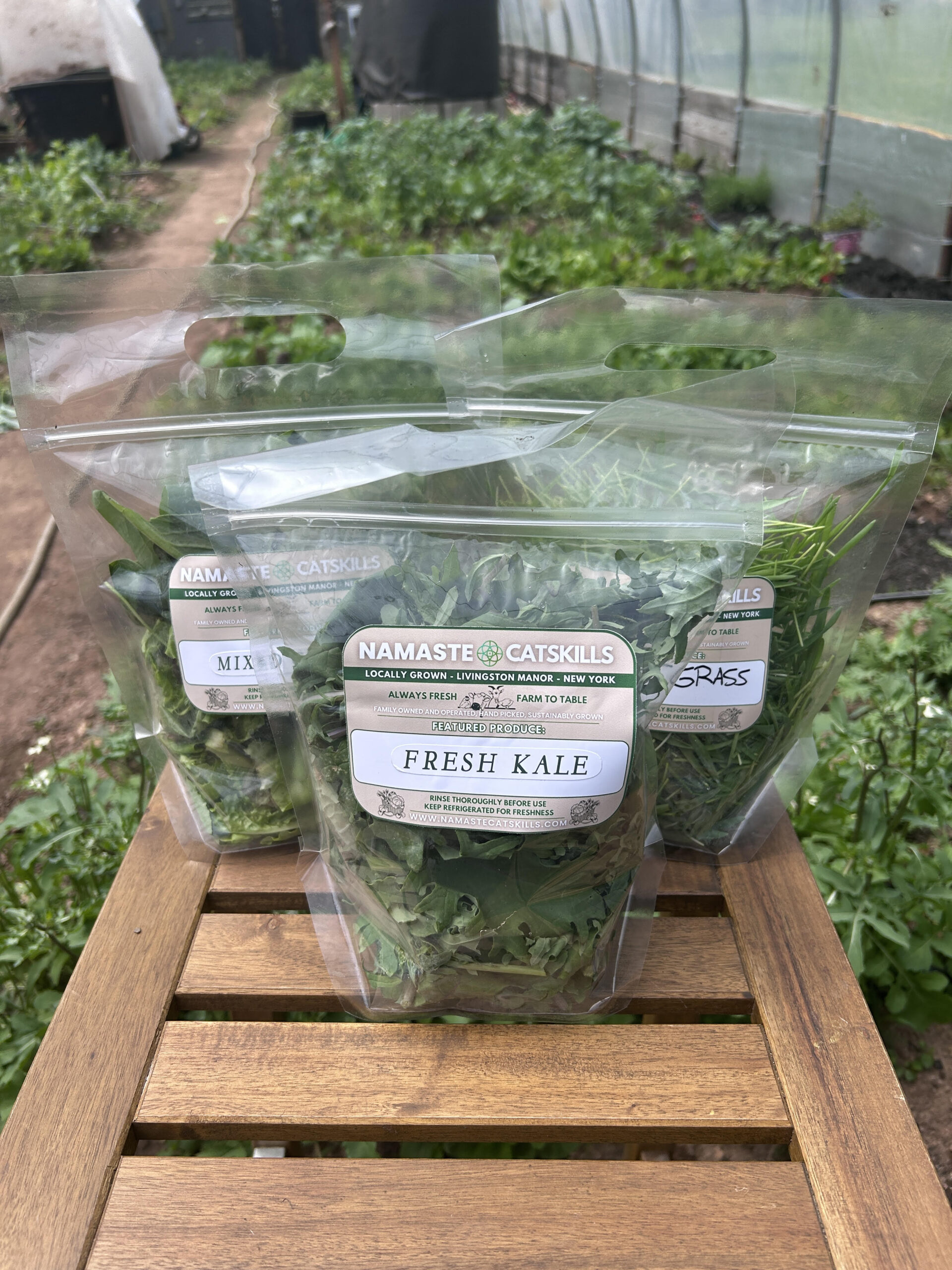Bags of Namaste Catskills salad mix, kale and pea shoots labeled and ready for delivery, grown in the farm's greenhouse in Livingston Manor, New York