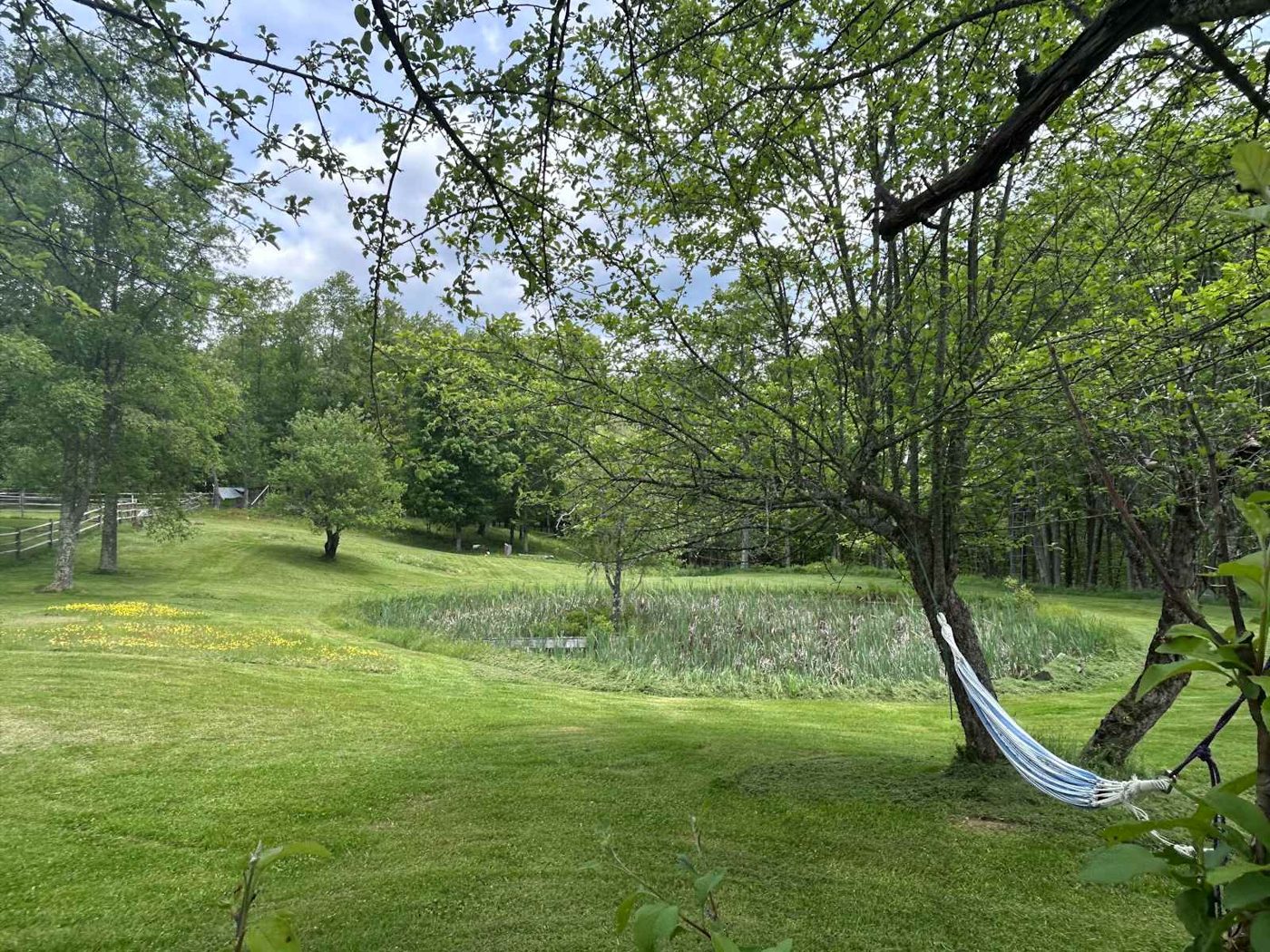A hammock strung between two trees on the open lawn at Namaste Catskills farm in Livingston Manor